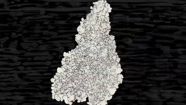 tatshuhisokjgsdlkghdskoghds