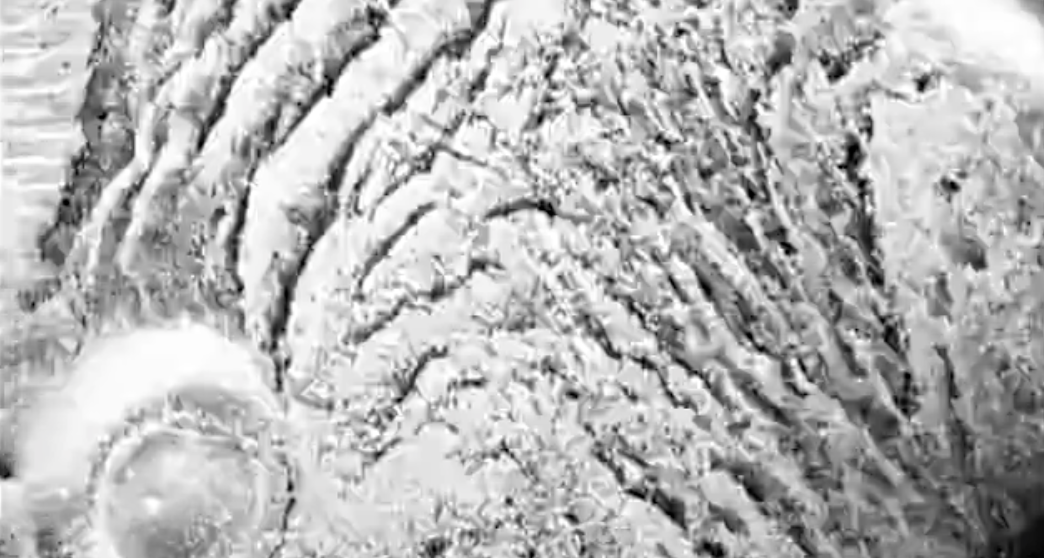 Képernyőfotó 2014-07-13 - 12.38.15