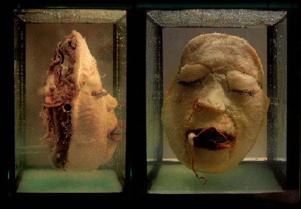 Szöllösi Géza munkája