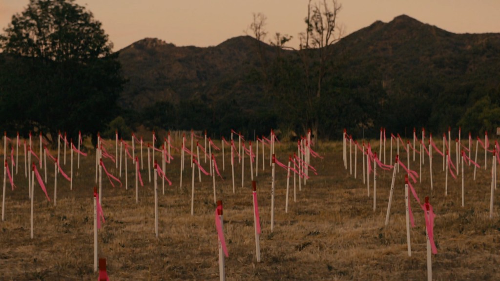 true-detective-first-shot.0