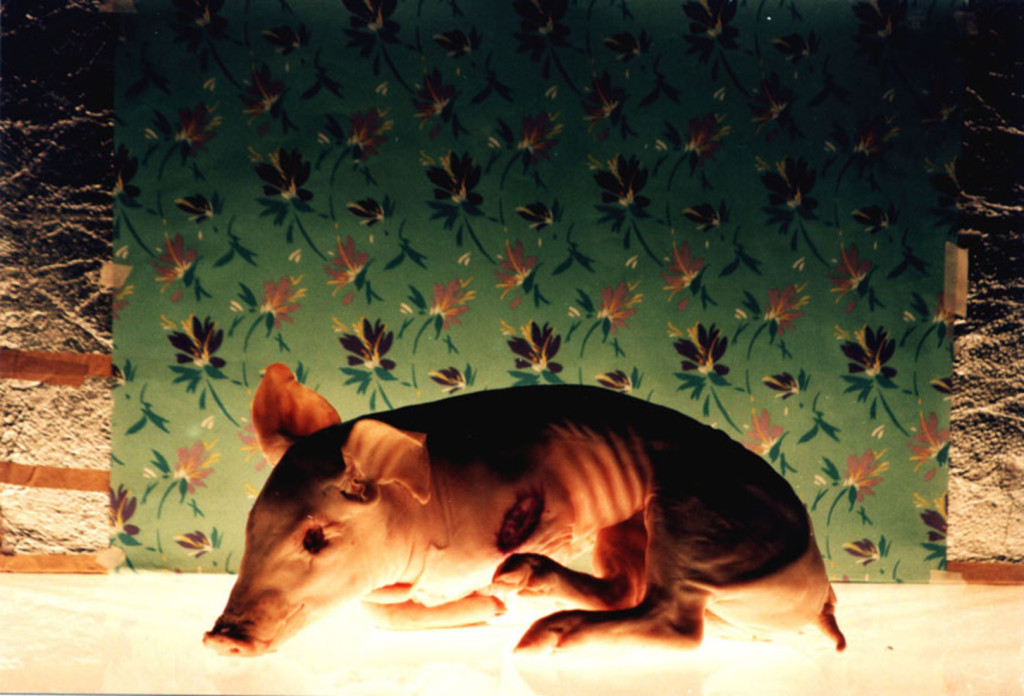 _Jorge-Furtado_Ilha-das-Flores_web