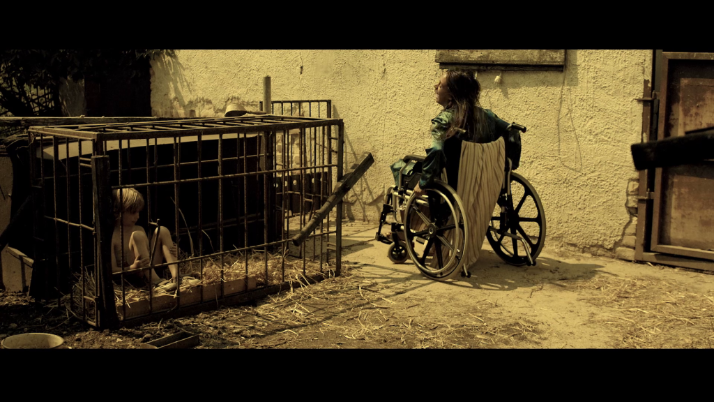 vlcsnap-2016-11-22-19h29m48s42